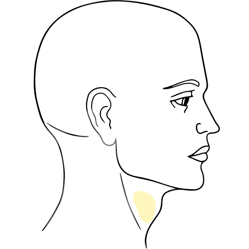 stellate-ganglion-clean Stellate ganglion block target area at the left lower neck.